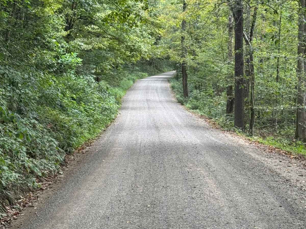 Rock Run Road photo 6