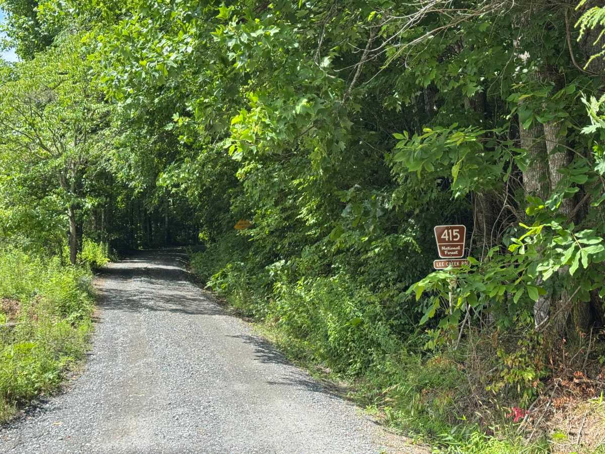 Lee Creek - FS 415 trail photo