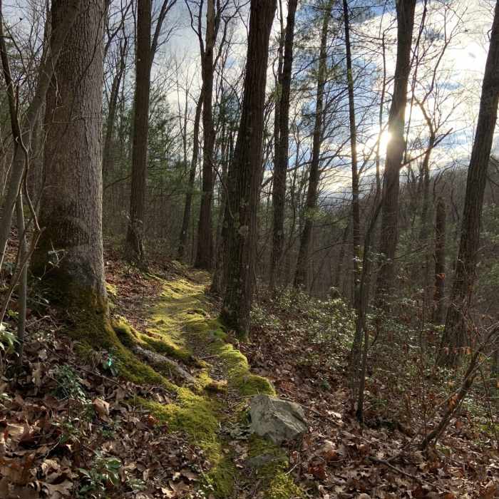 Near Tuscarora Trail - River Road to Route 9