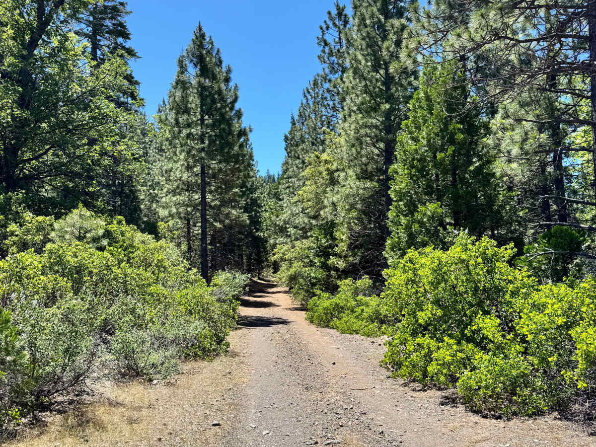 Calf Spur South - FS 27N12Y trail photo