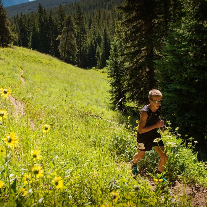 July Aspen Sunflowers in meadow along Wild Cat Creek, during the annual Grin & Bear It trail run. Near Green Lake Trail