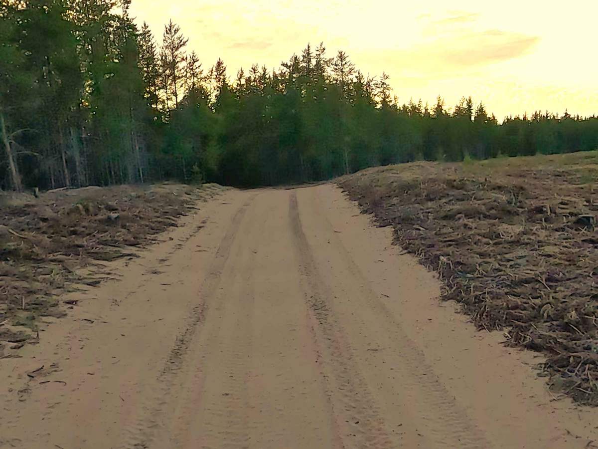 W Wilderness Road photo 4