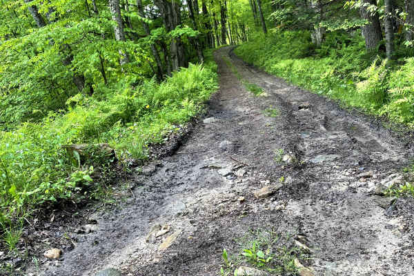 Beaver Meadow Trail - FS 76