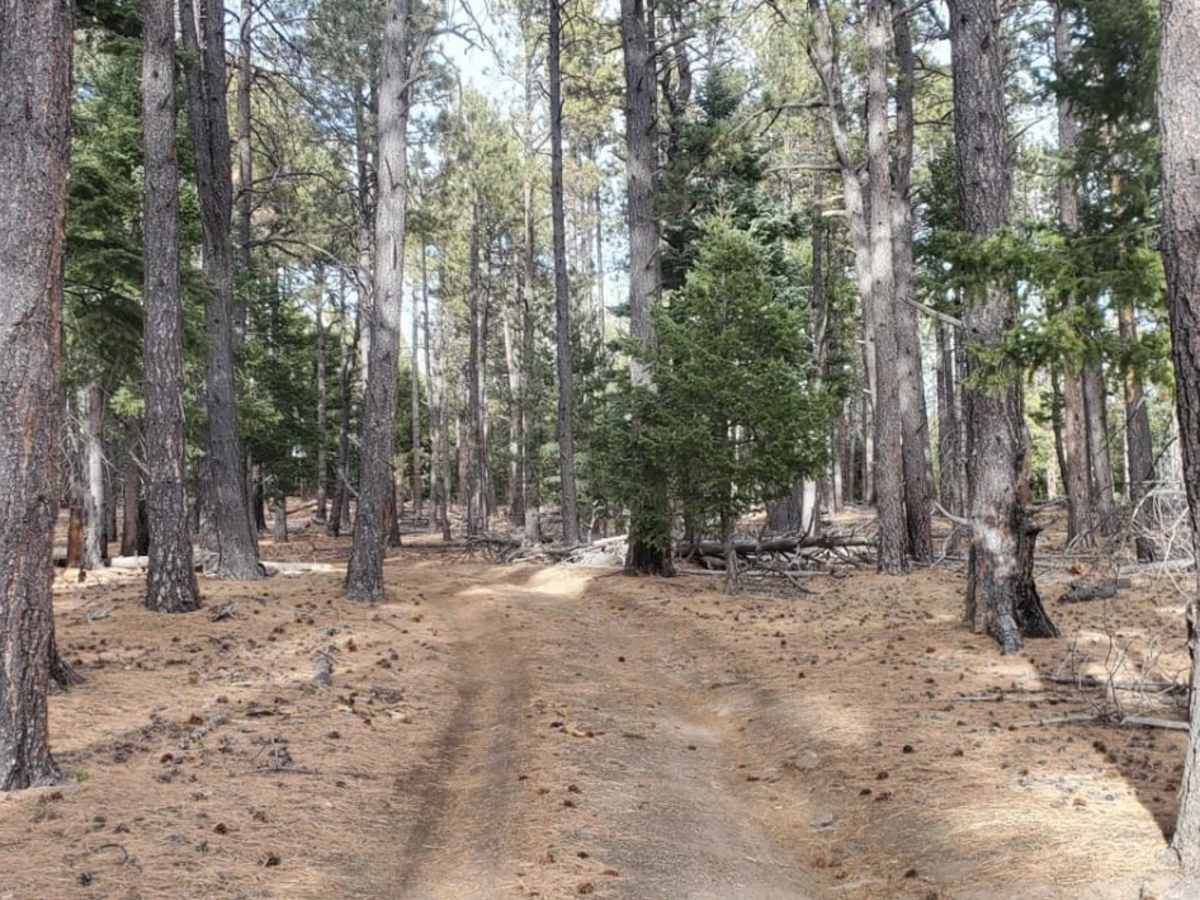 Ute Canyon photo 6