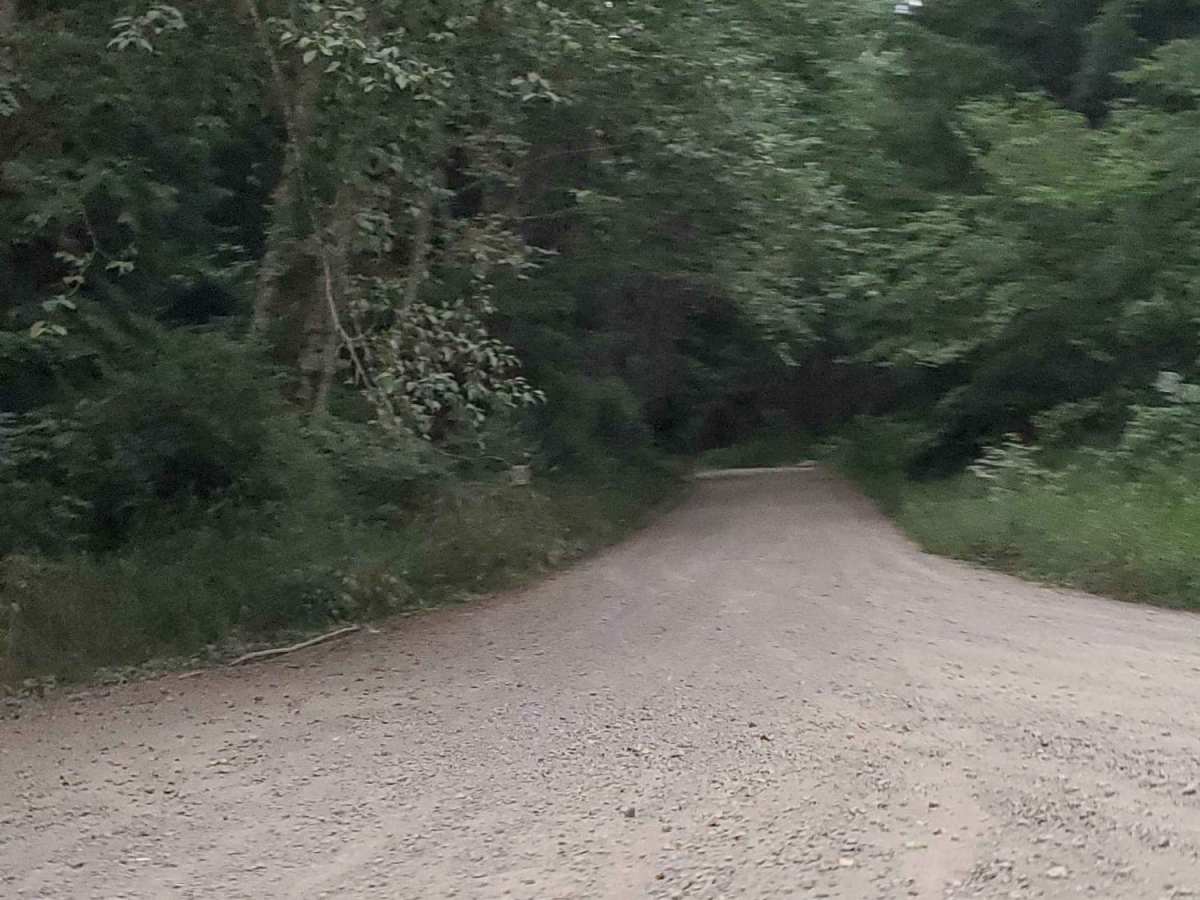 Last Regrets Lane trail photo