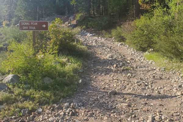 Signal Peak