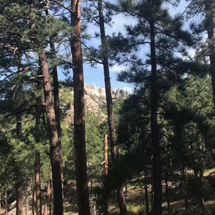 Near Mt. Rushmore Spur Trail
