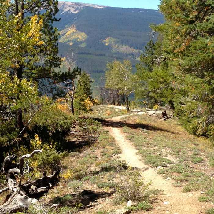 Cougar Ridge | Hiking Trail Maps, Difficulty, Trail Status | onX