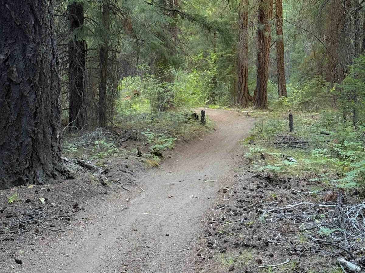 Boring Trail   photo 4
