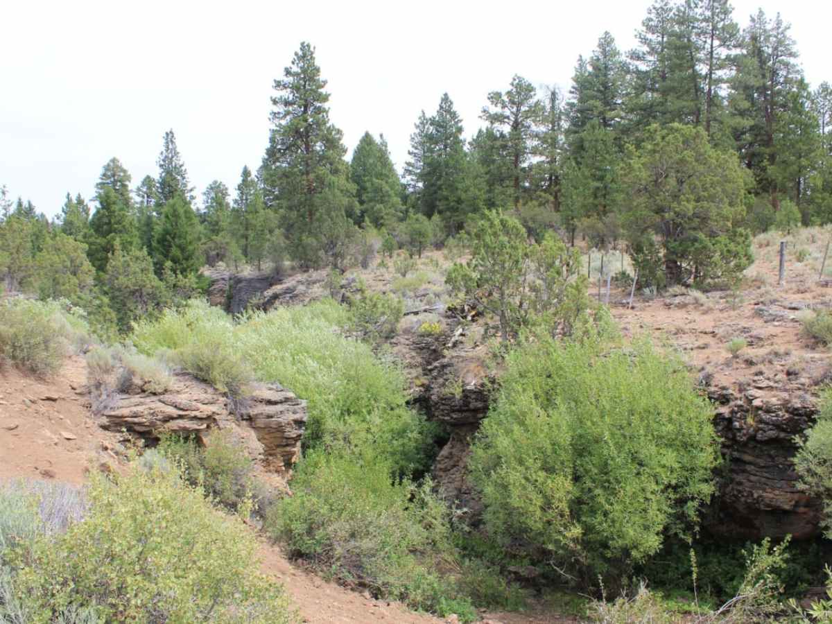 Lost Creek photo 2