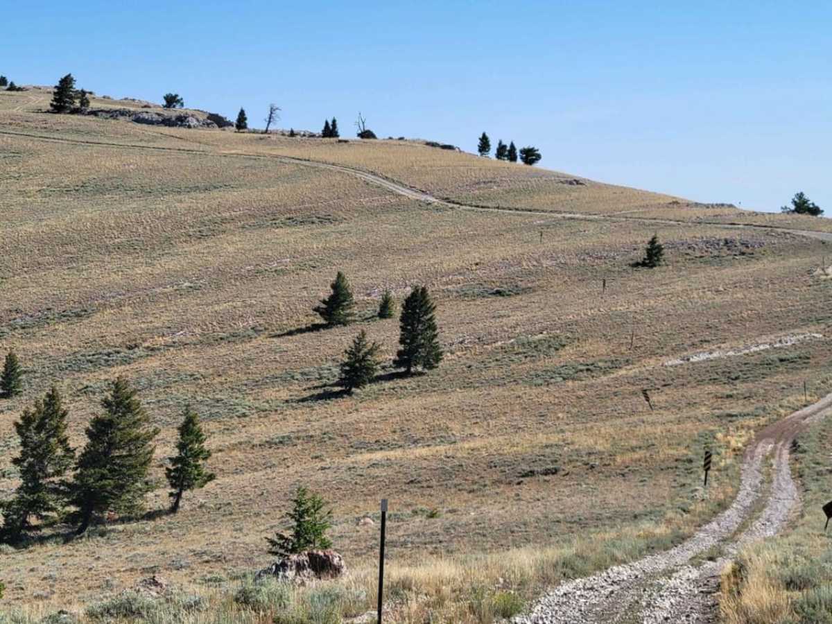 Howe Peak Ridge photo 2