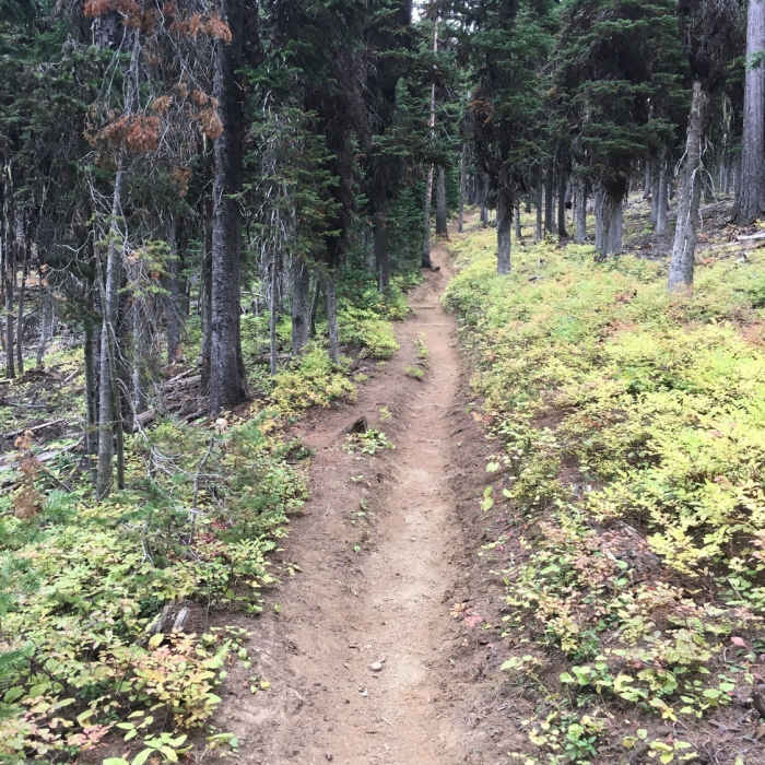 Near Oregon Butte Lookout