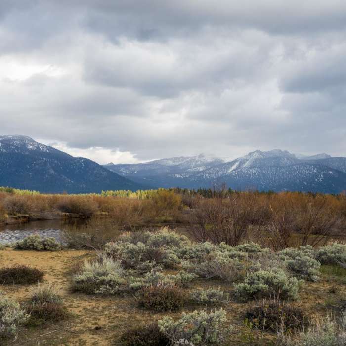 Near Tahoe Keys Beach Trail
