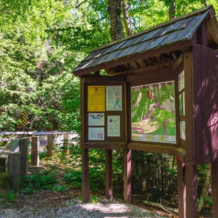 Near Mount Carrigain via Signal Ridge Near Mount Carrigain via Signal Ridge