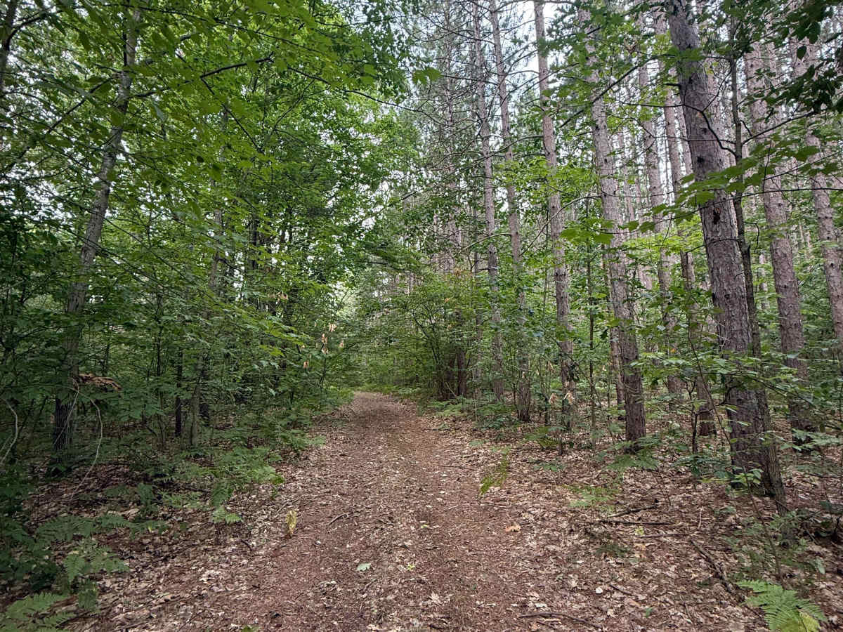 East Buchanan-Pierce Trail photo 3
