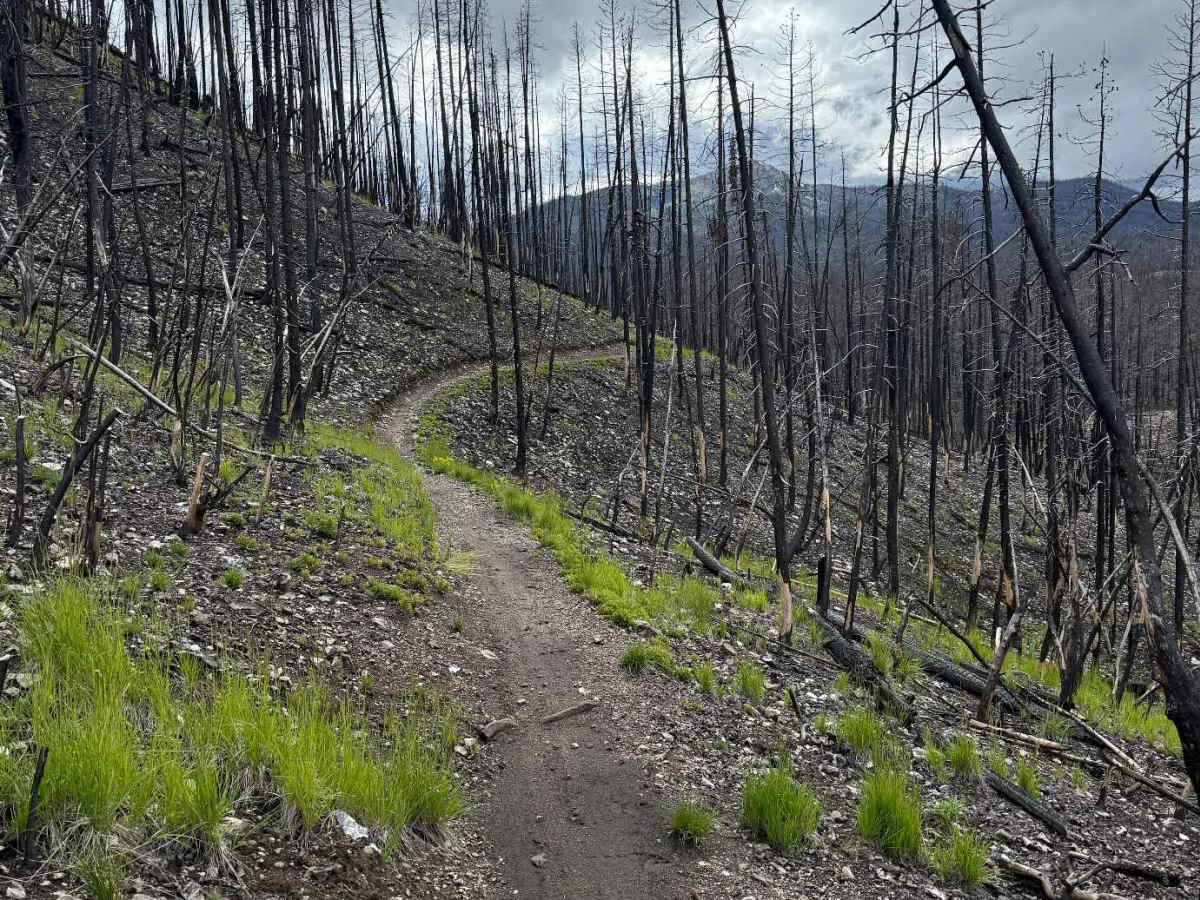 Elk Mountain Loop photo 4