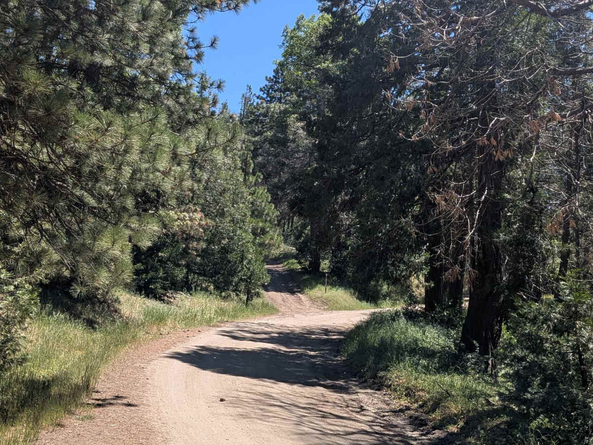 Rancheria Road South - FS 25S15 photo 6