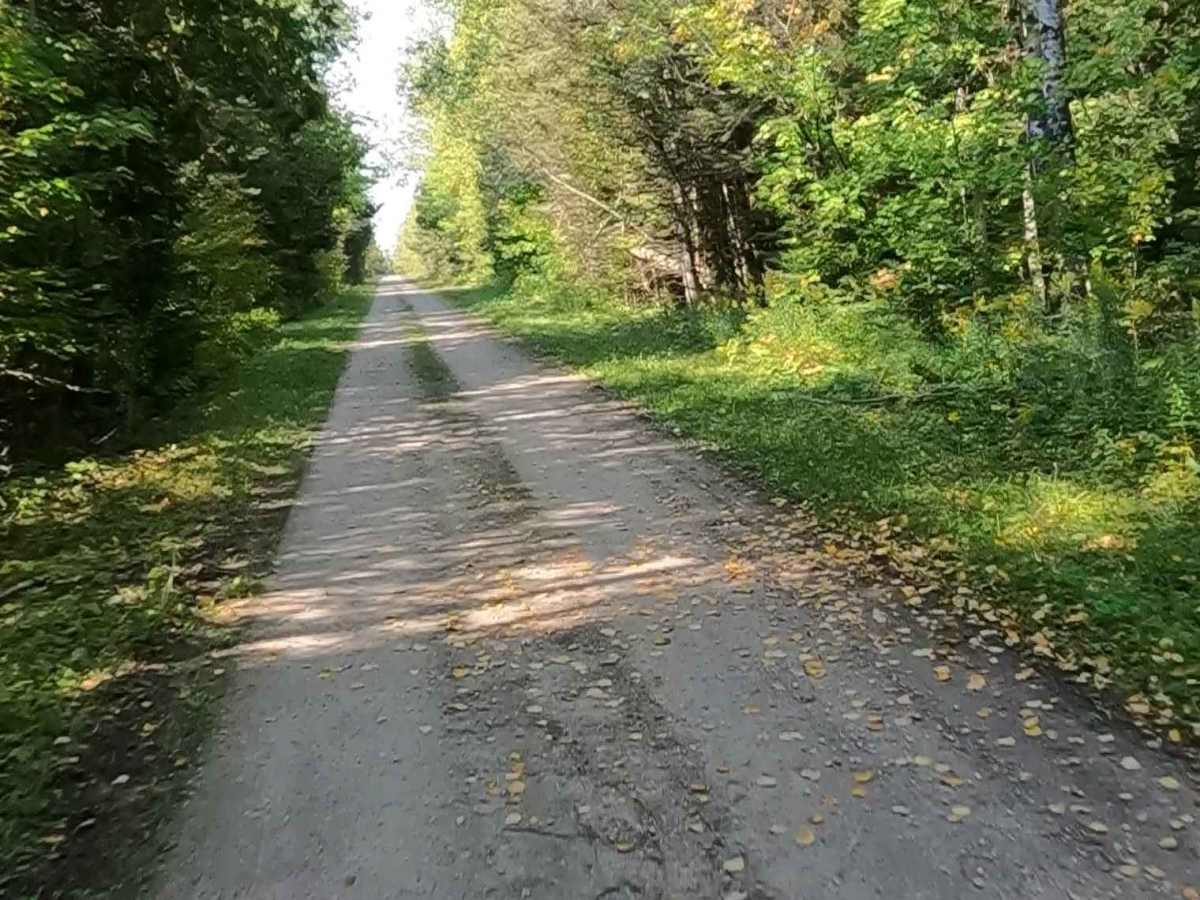 Interstate 75 Access South - FS 3900 photo 6