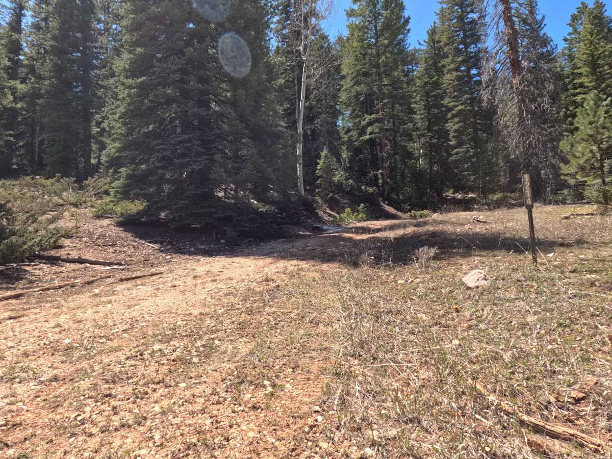 FS 31214 photo 2