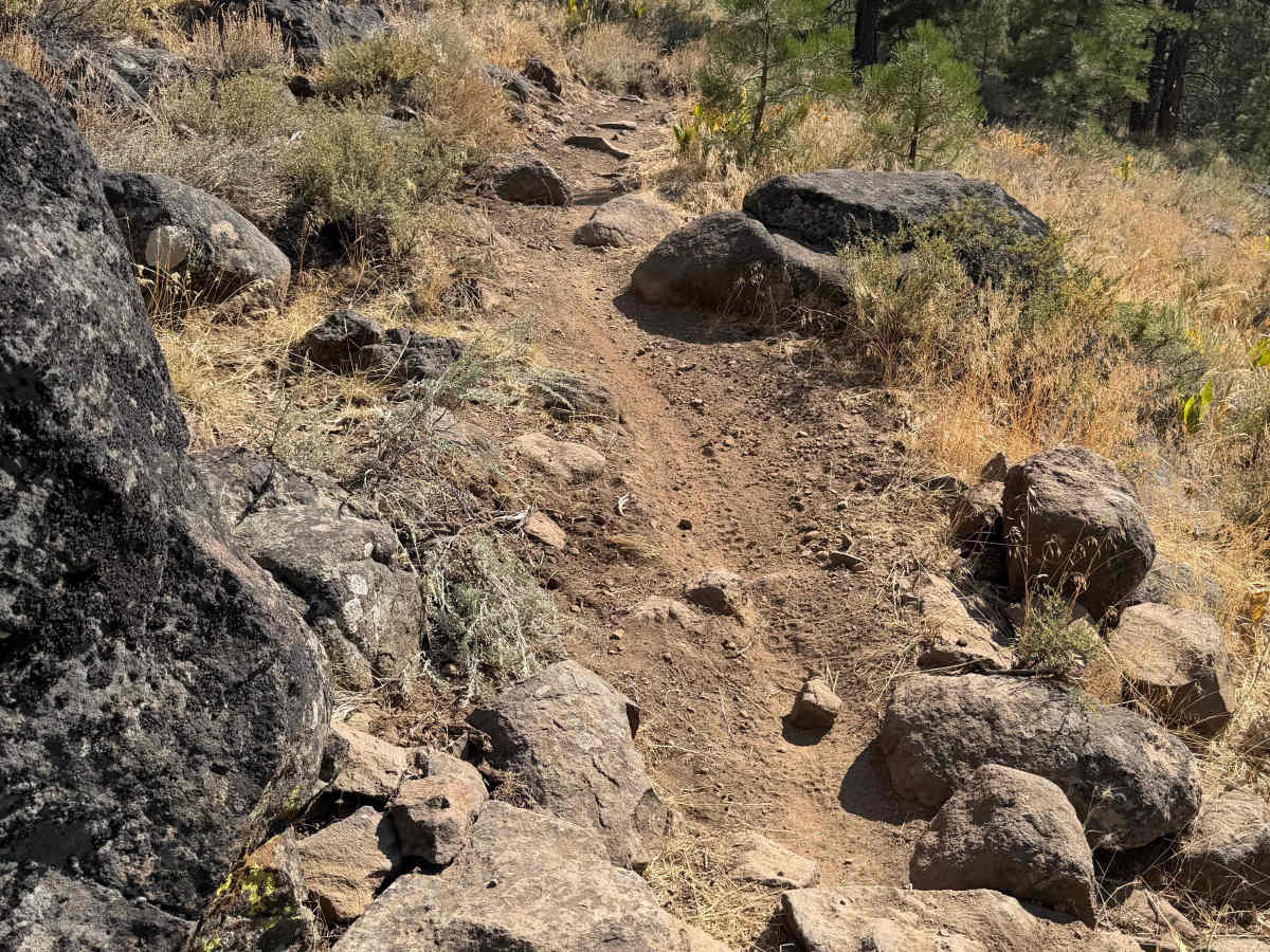 Beer Run Trail Lower photo 3