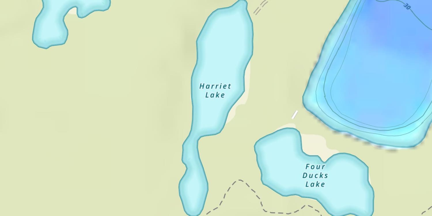Harriet Lake