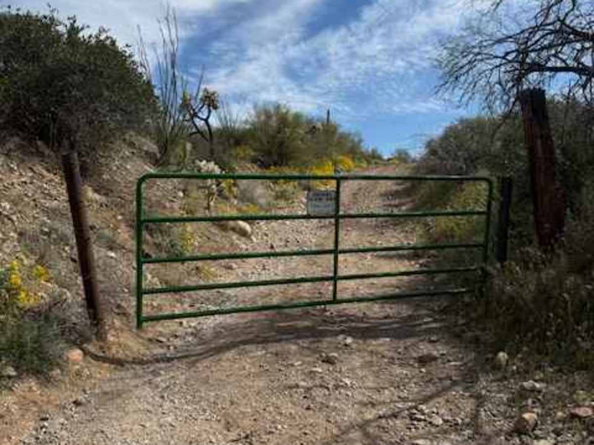 Cowboy Miller Road photo 5