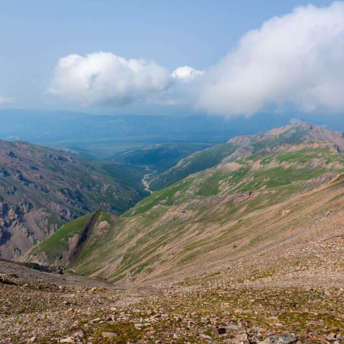 Near Mt. Healy From Bison Gulch Near Mt. Healy From Bison Gulch