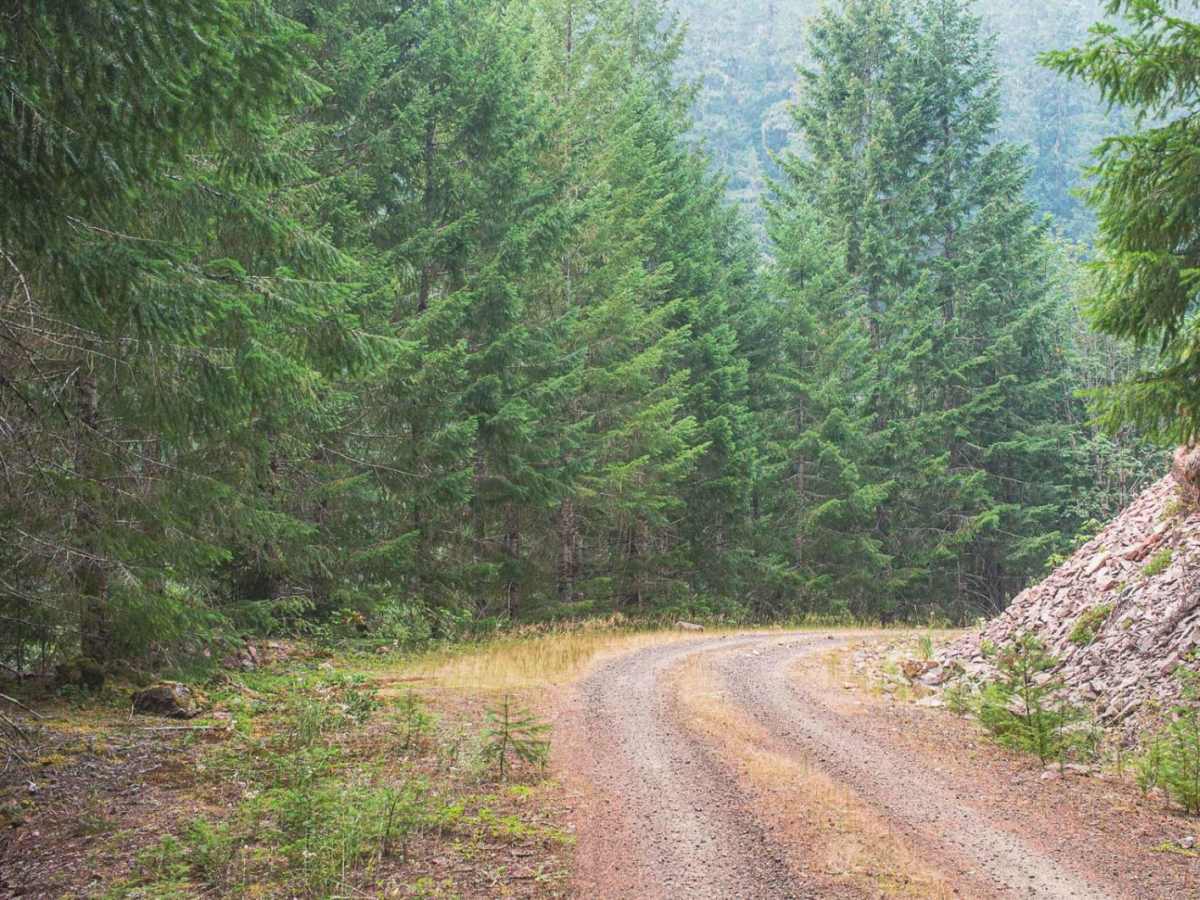 Cook Creek trail photo