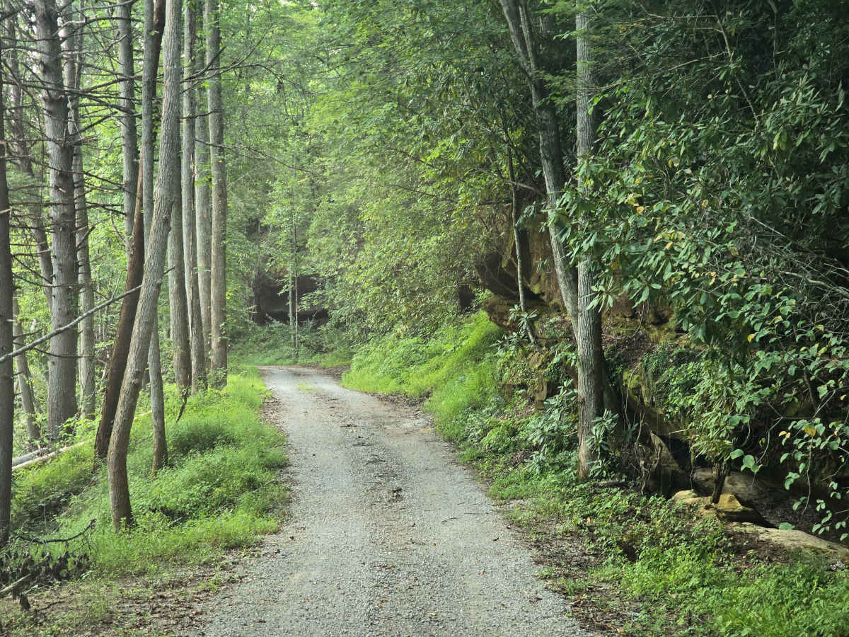 Zenith Road photo 2