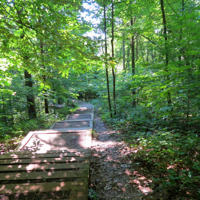 Near Cedar Sink Trail Near Cedar Sink Trail