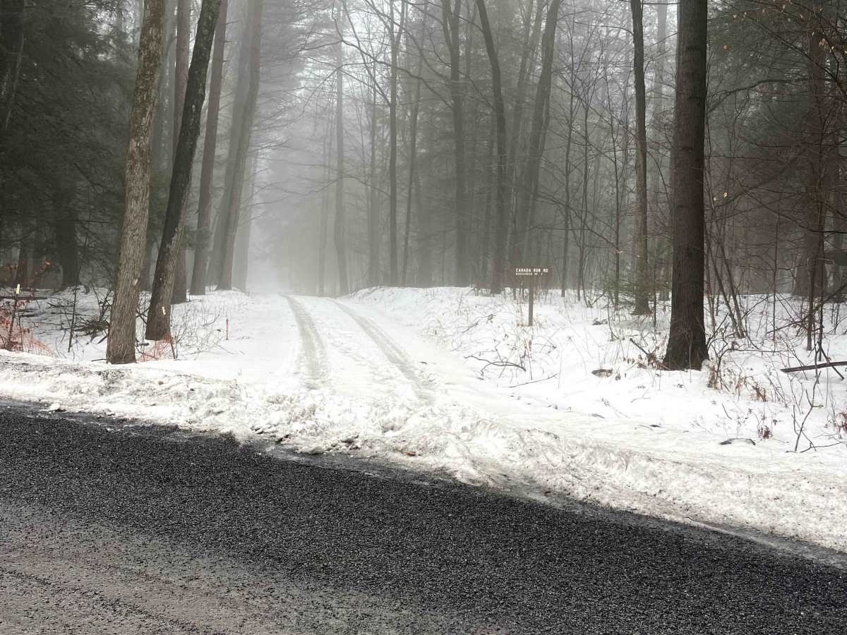 Canada Run Road trail photo