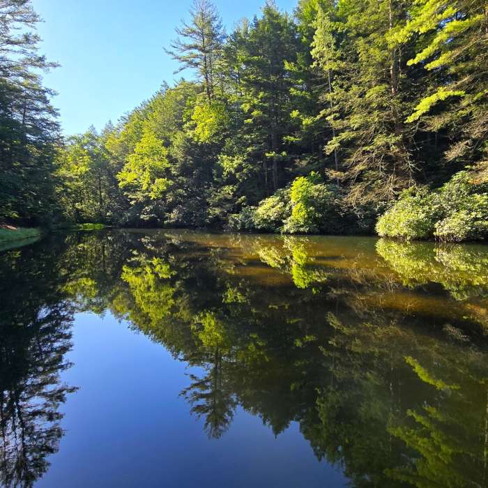 Near Shades of Death Trail
