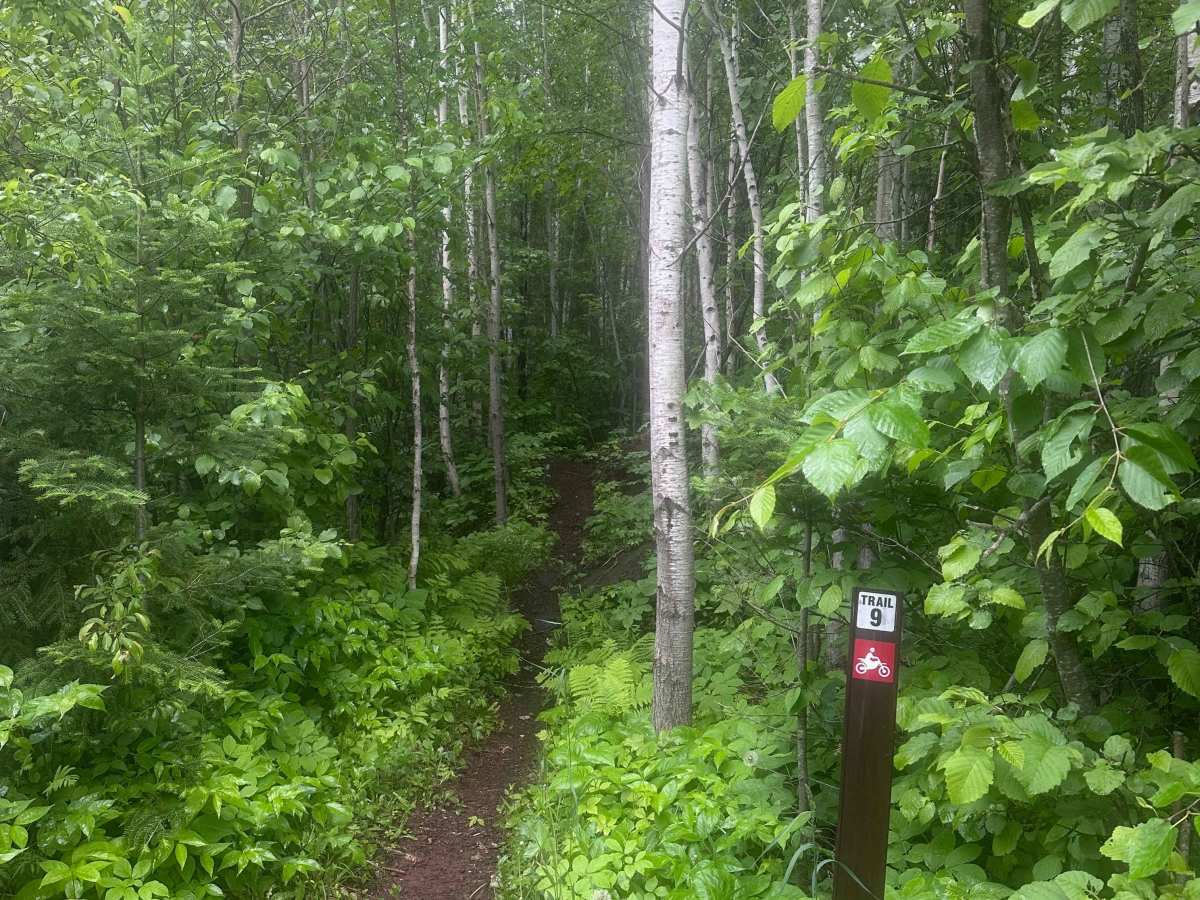 Alger Grade - Trail 9 trail photo