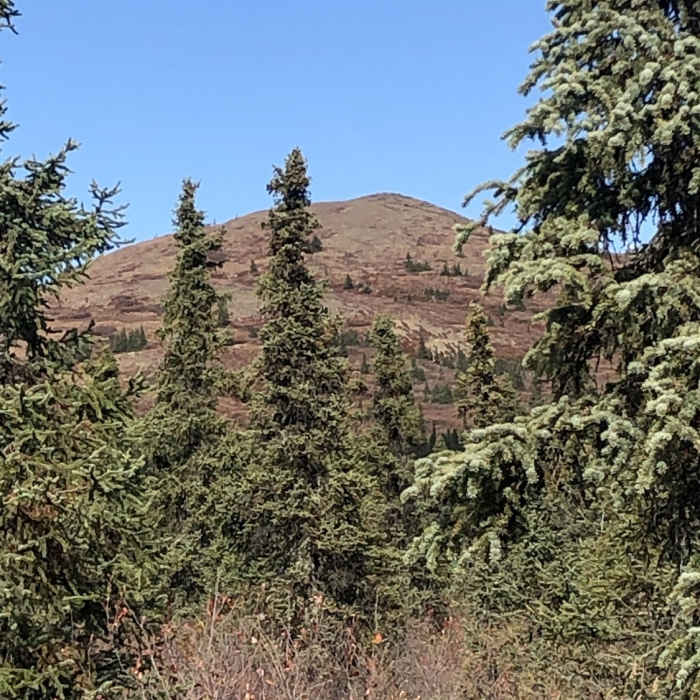 Near Wickersham Dome