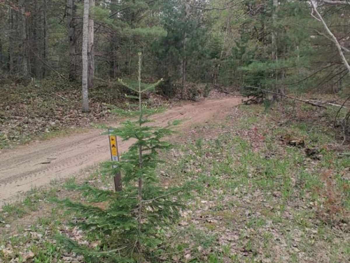 Pine Ridge Trail North photo 5