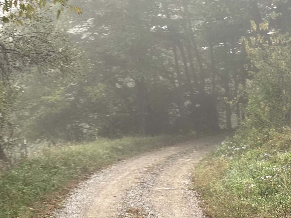 Long Ridge Road photo 3