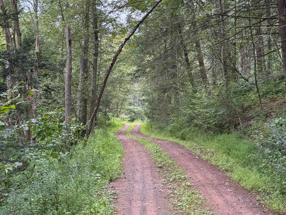 Four Mile Road photo 4