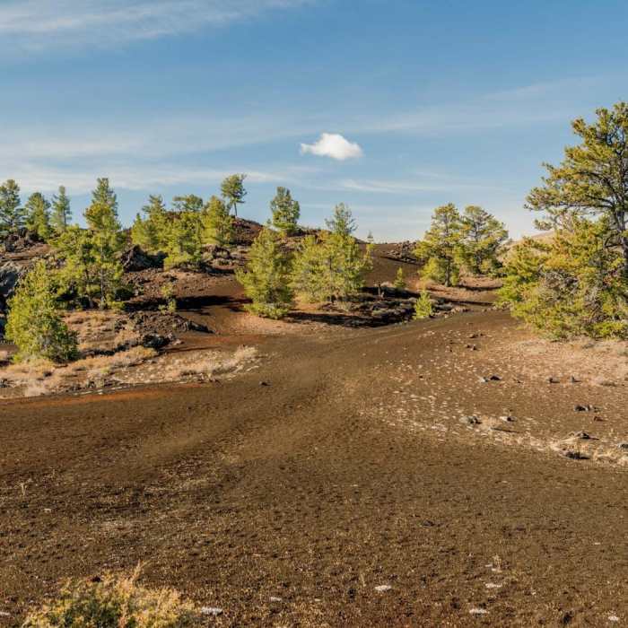 Near Craters of the Moon National Monument