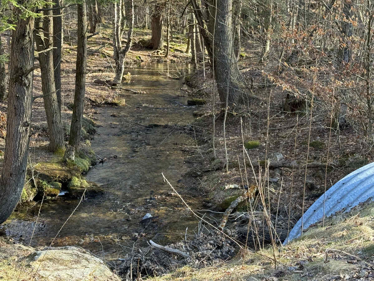 Camp Run - FS 504 photo 3