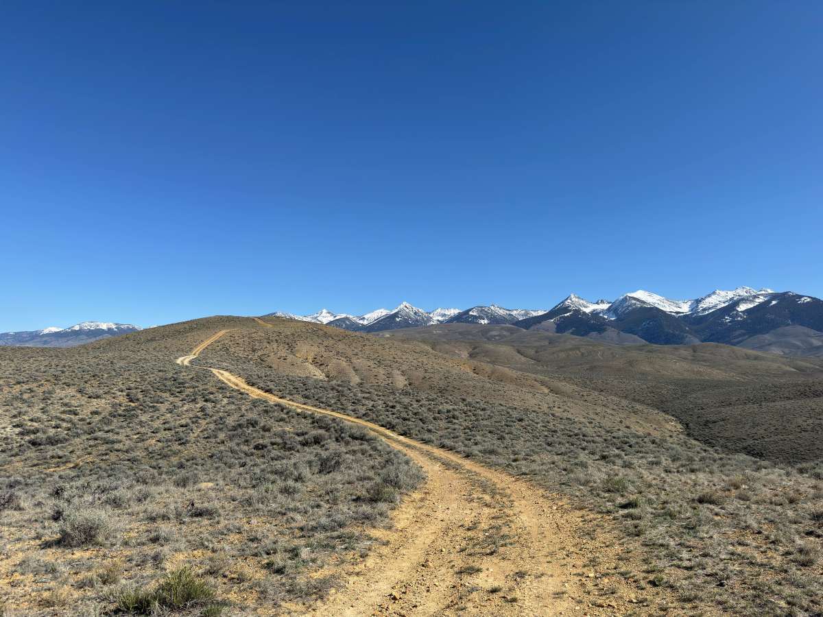 BLM 124 photo 2