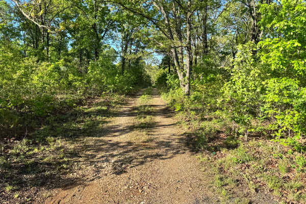 Watts Hollow - FS 1509