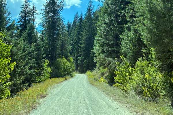 Dry Creek Road