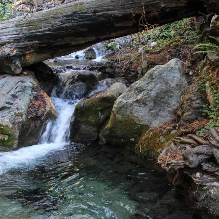 Near Hare Creek Trail Near Hare Creek Trail