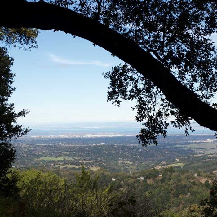 Near Coal Road Trail