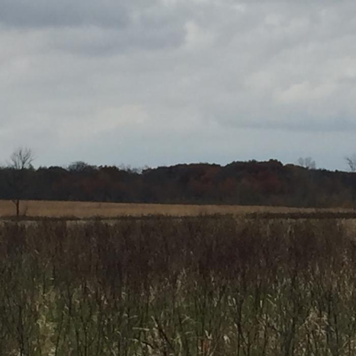 Southern section Near South Loop Trail