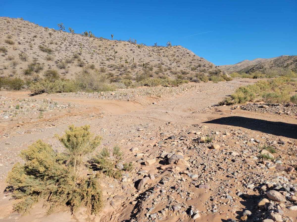Jackson Wash photo 6