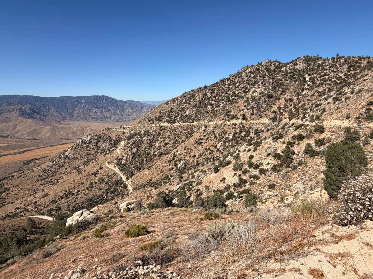 Canebrake Road photo 4