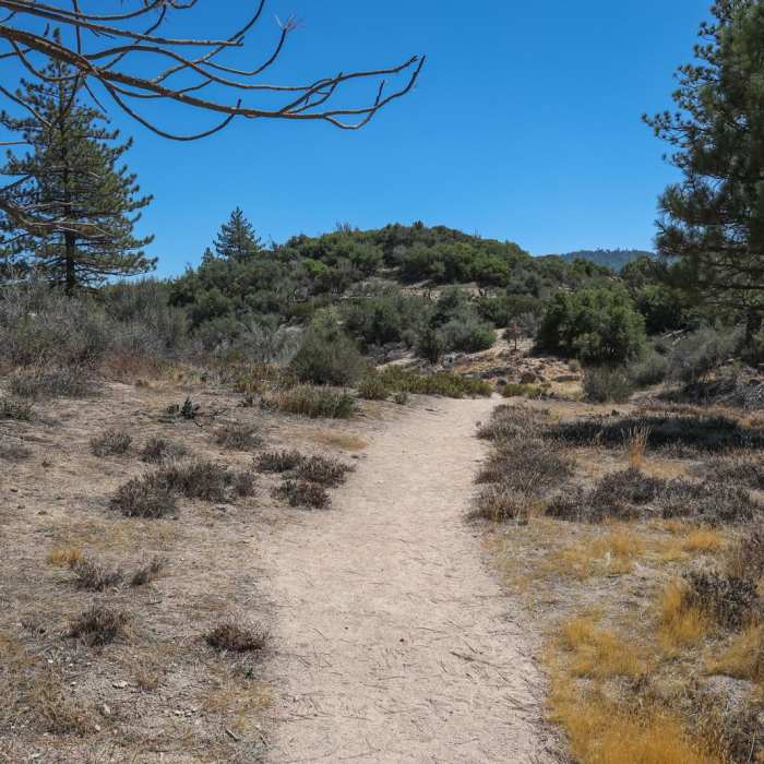 Near The Pinnacles Near The Pinnacles