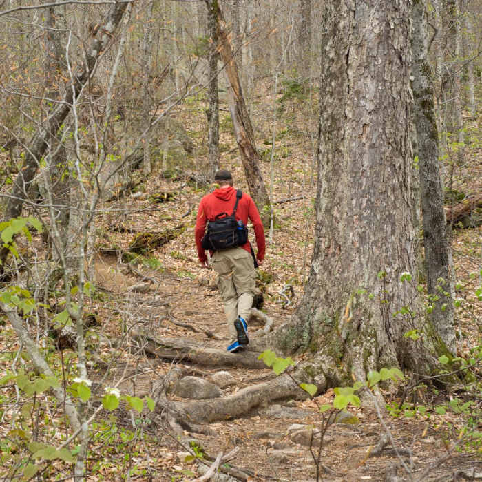 Near Lonesome Lake Trail Near Lonesome Lake Trail