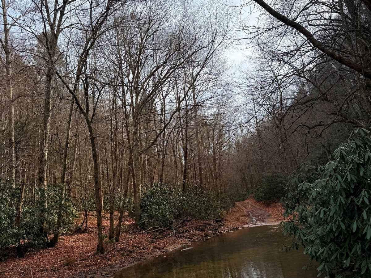 Caney Creek photo 5